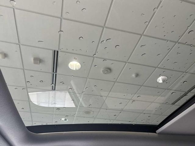 Photo of 2023 Wolf Gray Kia Sorento