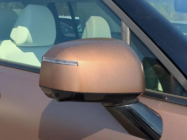 Photo of 2025 Brass Hyundai SANTA FE