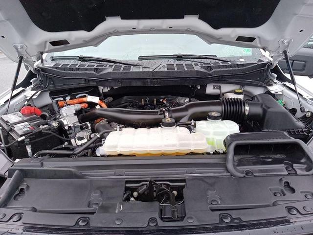 Photo of 2024 Oxford White Ford F-150