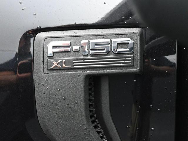 Photo of 2025 Agate Black Metallic Ford F-150
