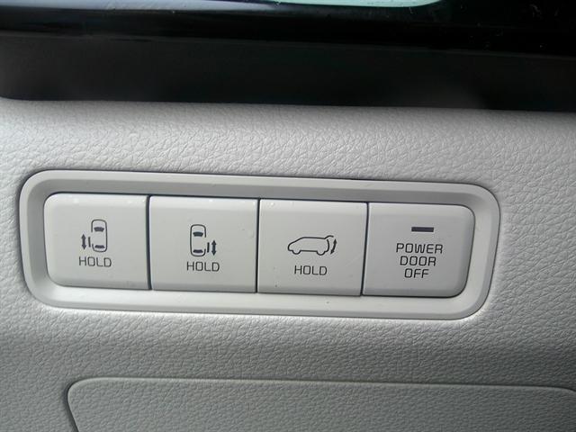 Photo of 2023 Flare Red Kia Carnival