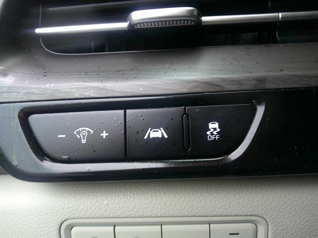 Photo of 2023 Flare Red Kia Carnival