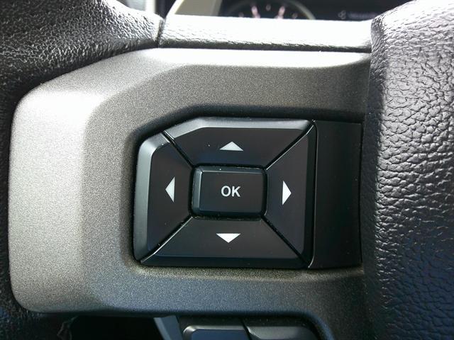 Photo of 2019 Velocity Blue Metallic Ford F-150