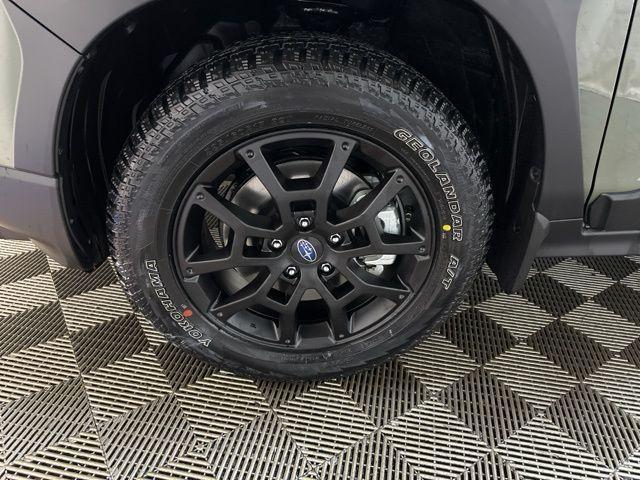 Photo of 2025 Alpine Green Subaru Crosstrek
