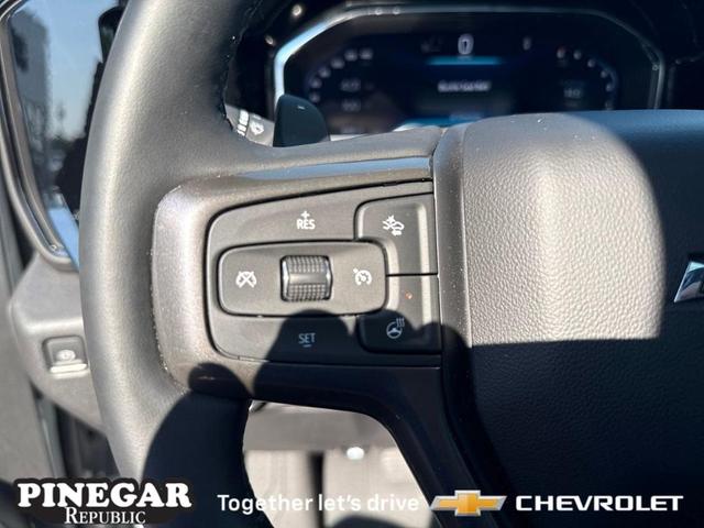 Photo of 2024 EXTERIOR BARB WIRE MET 1 633D Chevrolet Silverado 1500