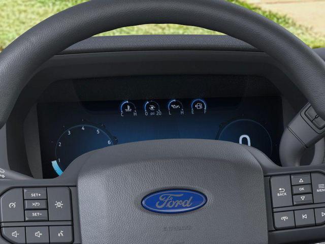 Photo of 2025 Oxford White Ford F-150