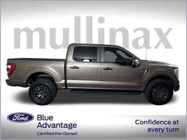 Photo of 2021 Stone Gray Metallic Ford F-150