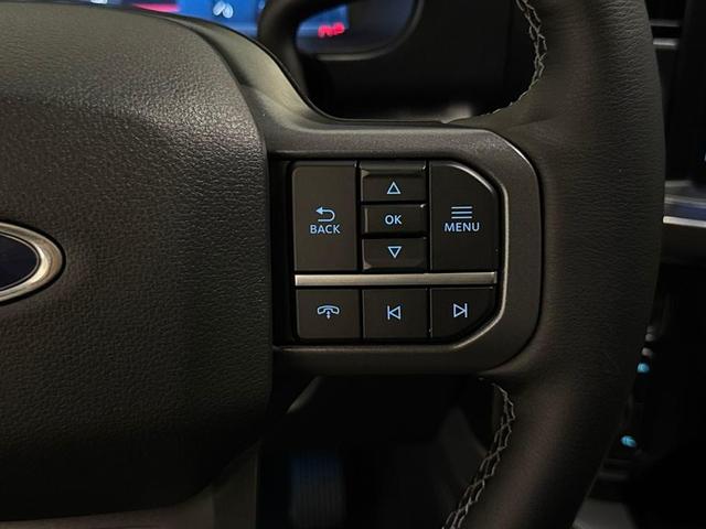 Photo of 2025 Carbonized Gray Metallic Ford F-250