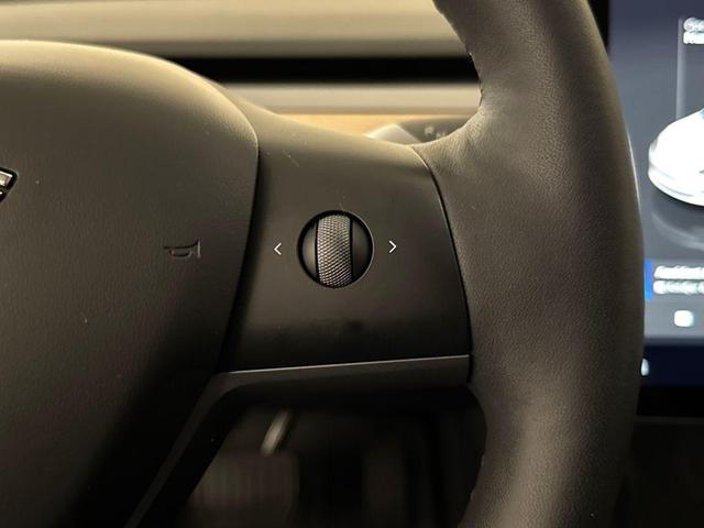 Photo of 2023 Pearl White Multi Tesla Model 3