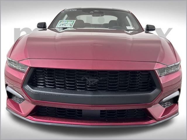 Photo of 2025 Magenta Ford Mustang