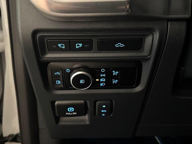 Photo of 2024 Avalanche Gray Ford F-150