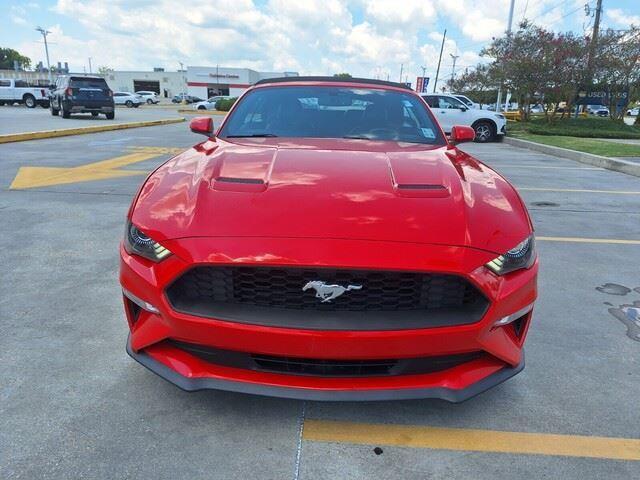 Photo of 2019 RACE RED Ford Mustang