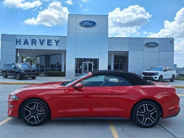 Photo of 2019 RACE RED Ford Mustang