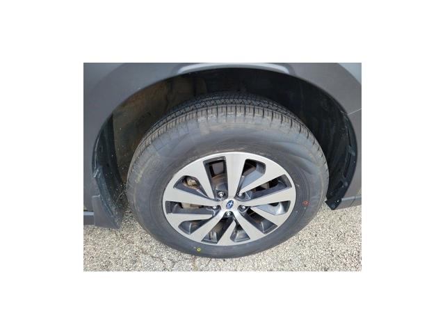 Photo of 2023 Autumn Green Metallic Subaru Outback