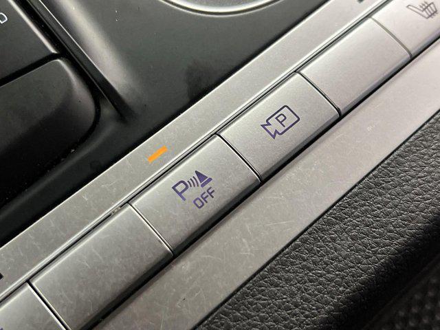 Photo of 2023 Panthera Metal Kia Carnival