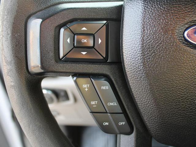 Photo of 2016 White Ford F-150