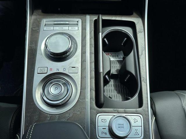 Photo of 2024 Vik Black Genesis GV80