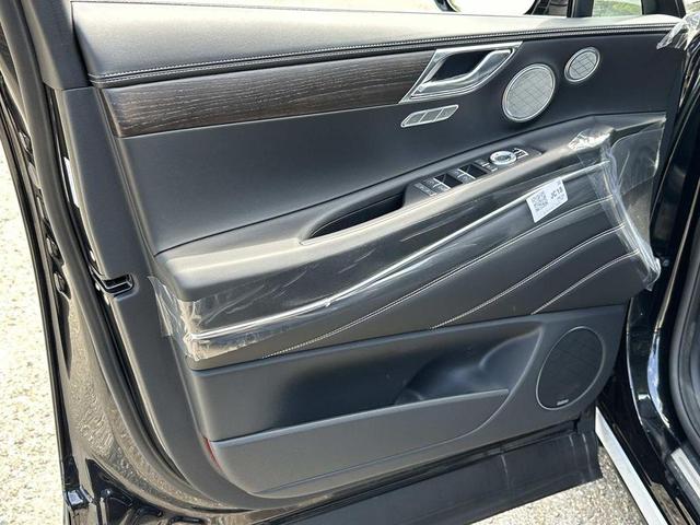 Photo of 2024 Vik Black Genesis GV80