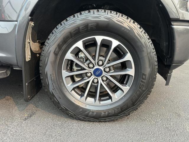 Photo of 2019 MAGNETIC Ford F-150