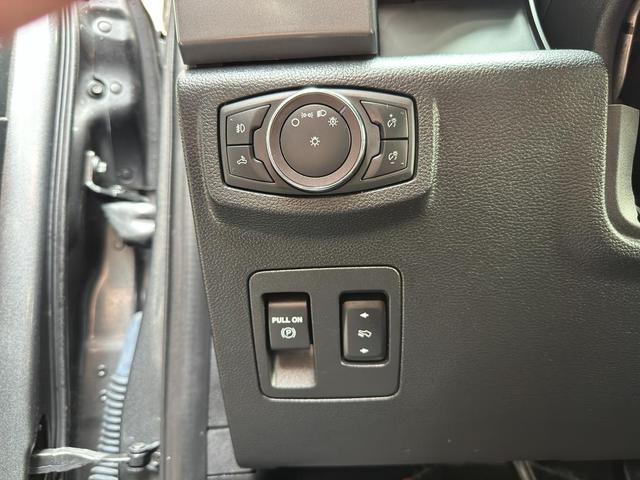 Photo of 2019 MAGNETIC Ford F-150