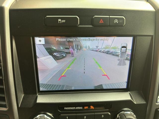 Photo of 2019 MAGNETIC Ford F-150