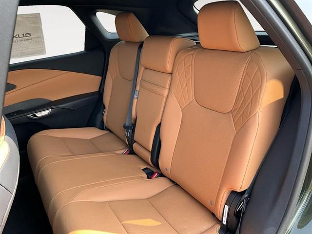 Photo of 2025 Nori Green Pearl Lexus RX 350