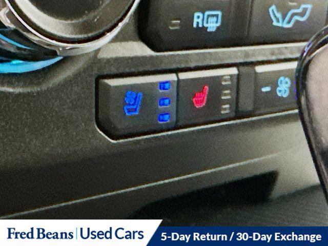 Photo of 2019 Magnetic Ford F-150
