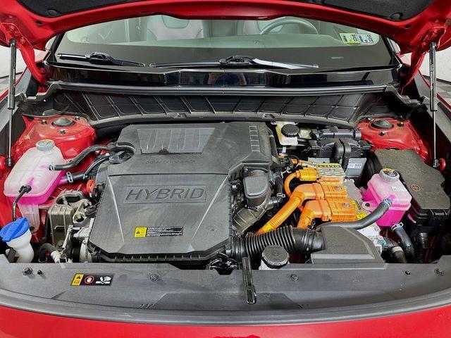 Photo of 2024 Runway Red Kia Niro