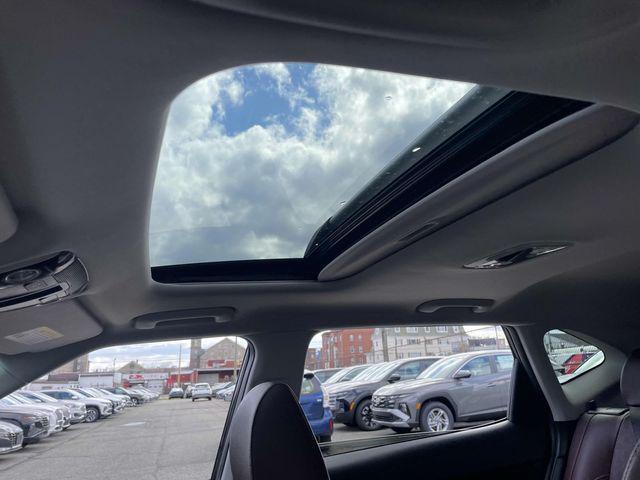 Photo of 2023 Cherry Black Kia Seltos