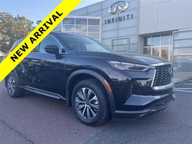 Photo of 2025 Mineral Black INFINITI QX60