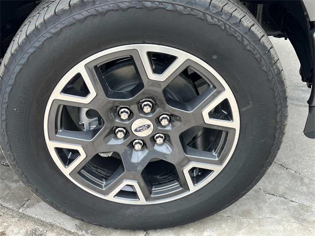 Photo of 2025 Carbonized Gray Metallic Ford F-150