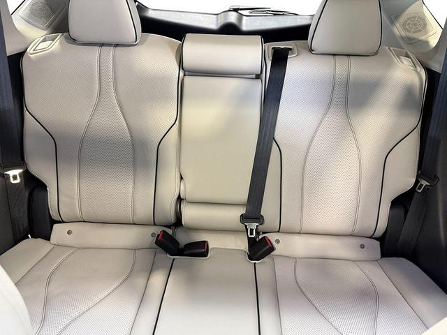 Photo of 2025 Canyon River Blue Metallic Acura RDX