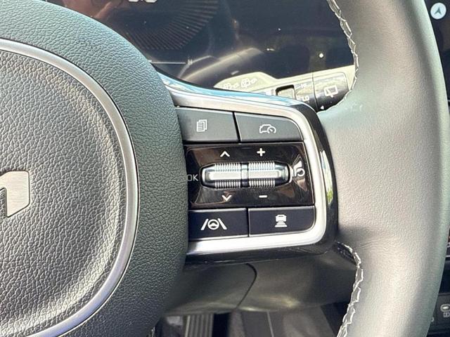 Photo of 2025 Metal Kia Sorento
