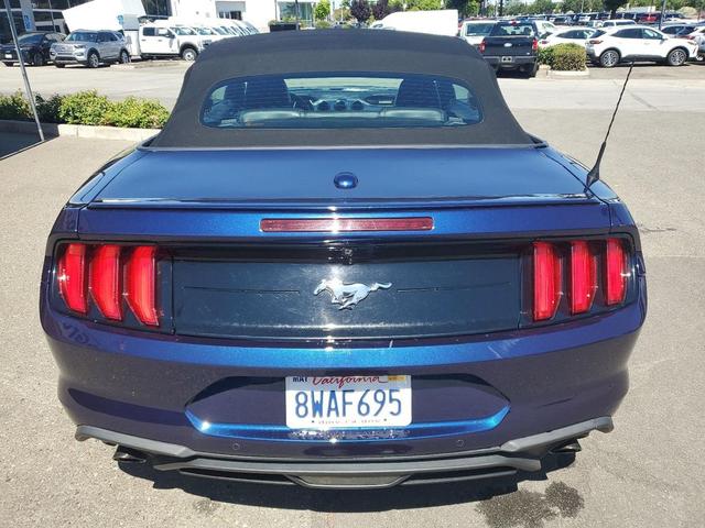 Photo of 2019 Kona Blue Metallic Ford Mustang