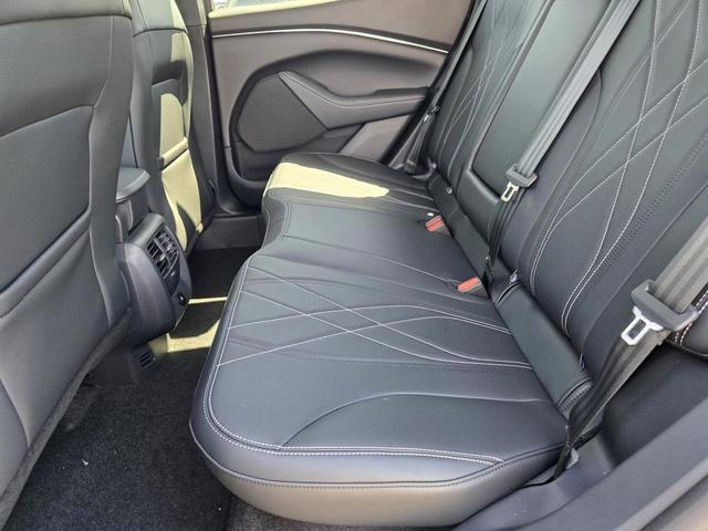 Photo of 2025 Glacier Gray Metallic TriCoat Ford Mustang Mach-E