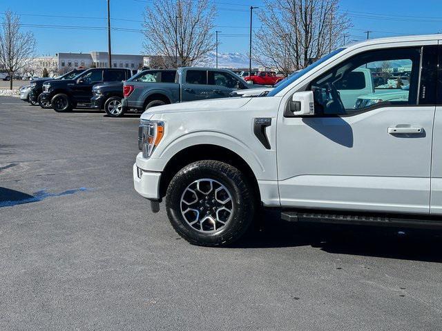 Photo of 2023 Oxford White Ford F-150
