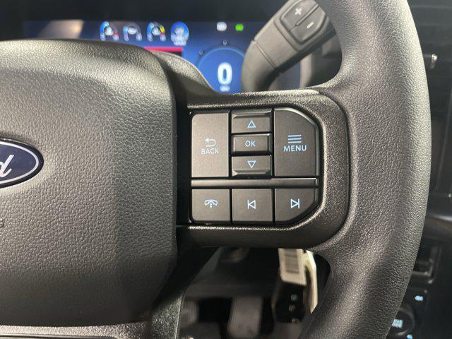 Photo of 2025 Agate Black Metallic Ford F-150