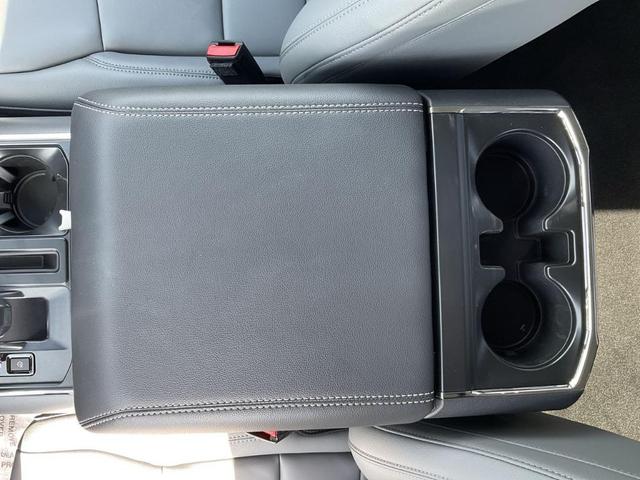 Photo of 2025 Gray Ford F-150 Lightning