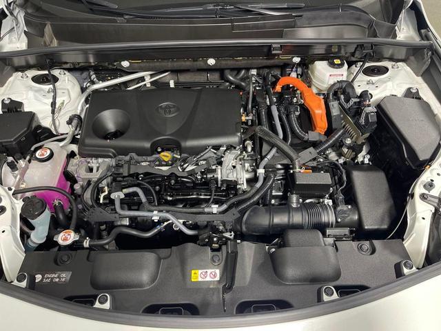Photo of 2021 Blizzard Pearl Toyota Venza