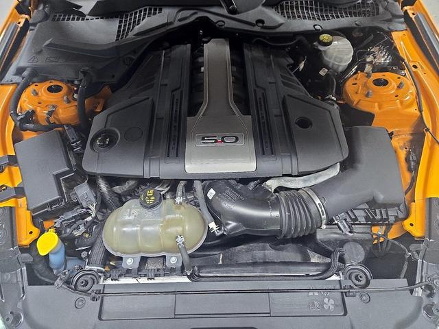 Photo of 2019 Orange Ford Mustang