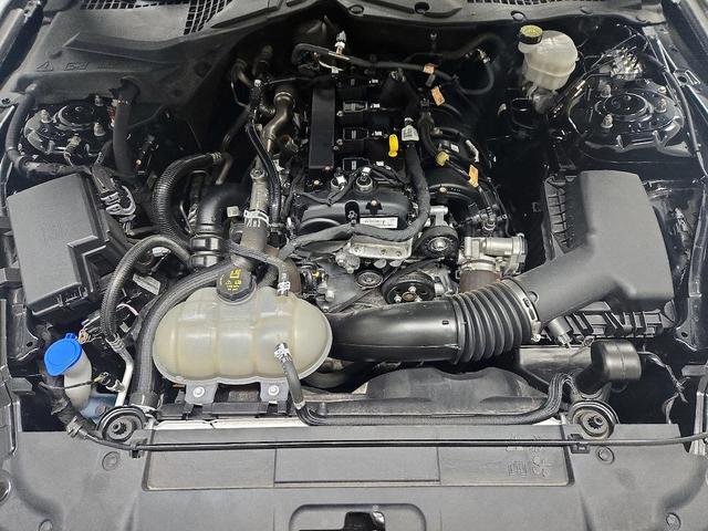 Photo of 2023 Black Ford Mustang