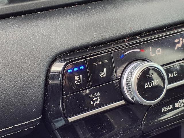 Photo of 2023 Lunar Honda Pilot