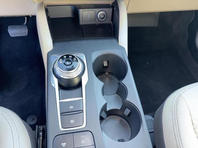 Photo of 2020 Magnetic Ford Escape