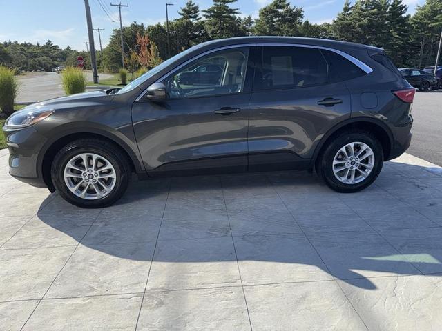 Photo of 2020 Magnetic Ford Escape