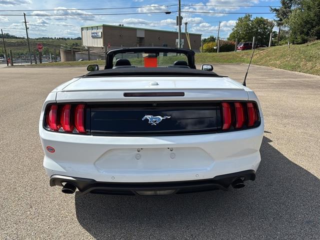 Photo of 2022 Oxford White Ford Mustang