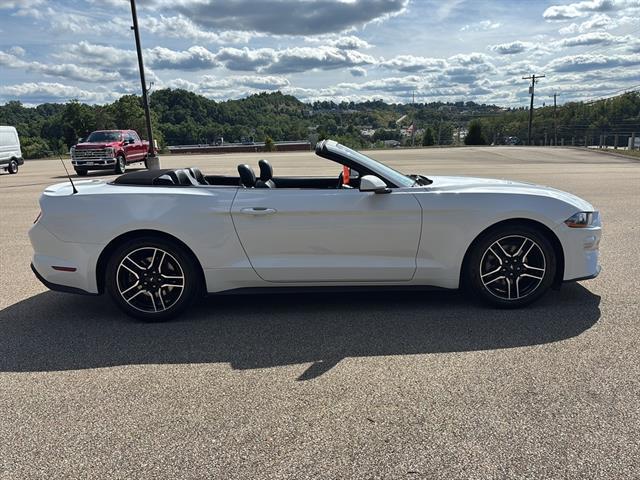 Photo of 2022 Oxford White Ford Mustang