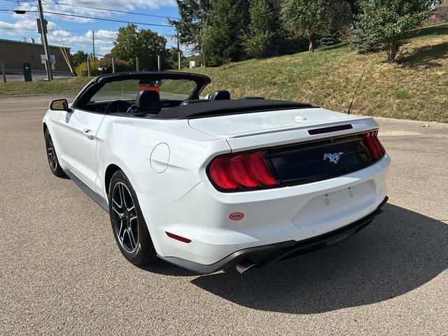 Photo of 2022 Oxford White Ford Mustang