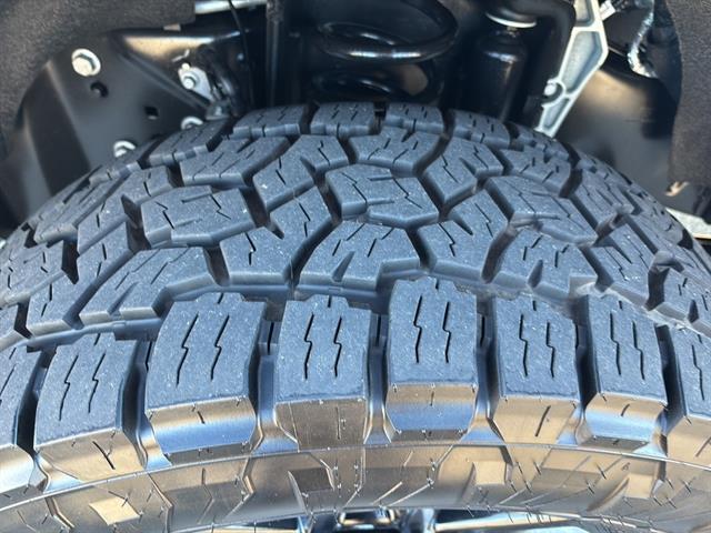 Photo of 2024 GRAY Ford F-250