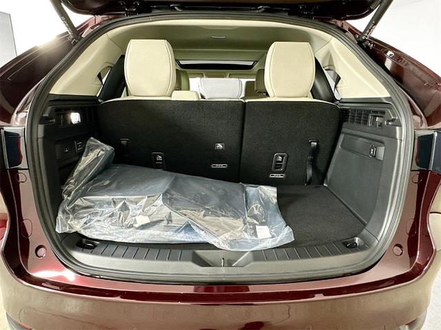Photo of 2025 Red Mazda CX-90 PHEV