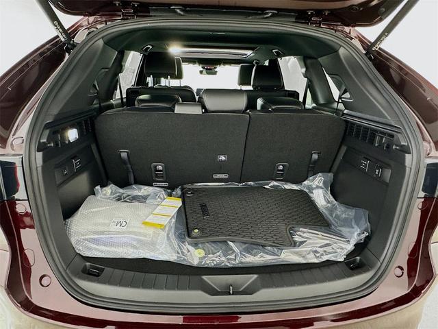 Photo of 2025 Red Mazda CX-90 PHEV
